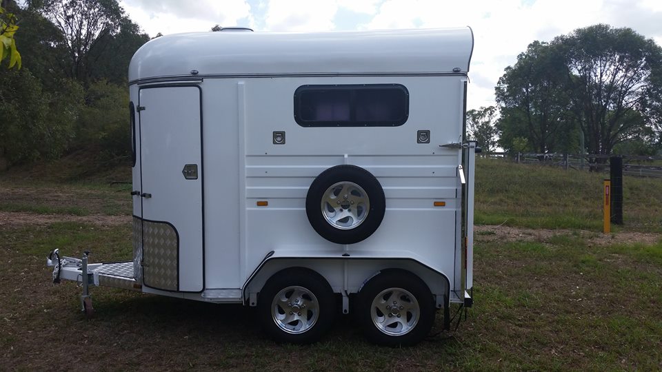 Remorque à chevaux à charge droite standard de type 2 chevaux